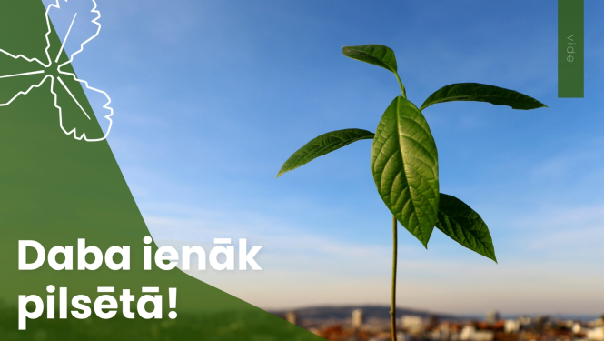 Daba ienāk pilsētā