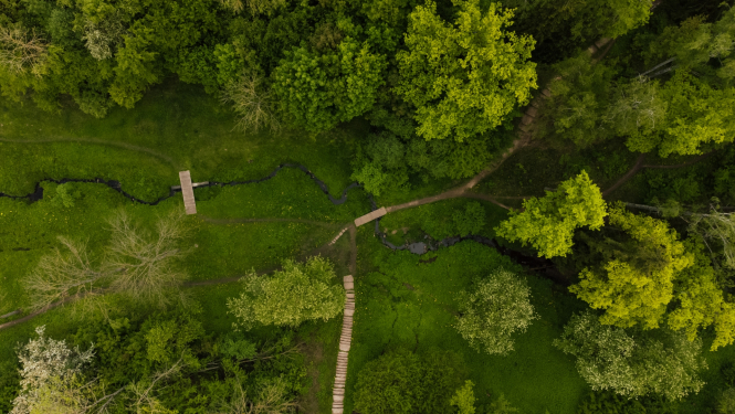 sakārtos ūdenskrātuves līča piekrasti