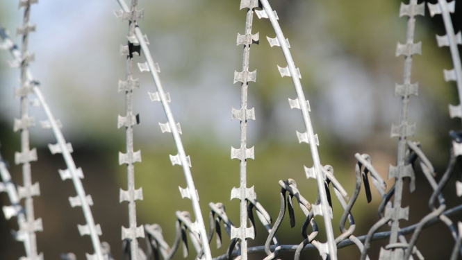 dzeloņdrāšu žogs