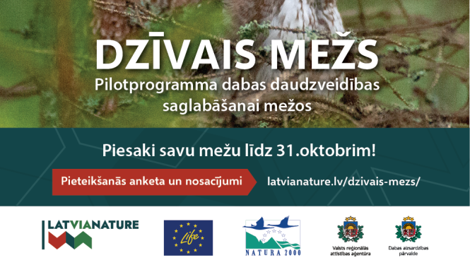 dzīvais mežs - baneris ar pūci