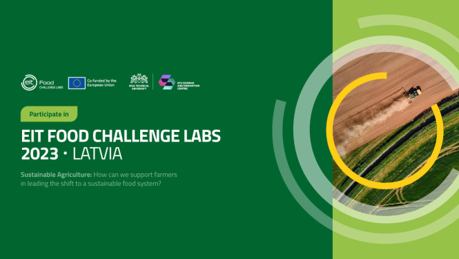 vizuālis angļu valodā