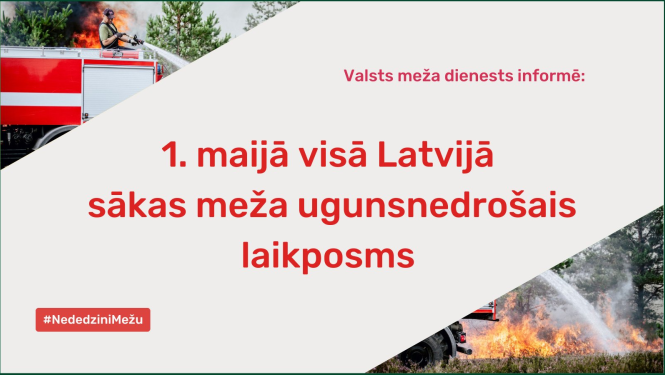 valsts meža dienests