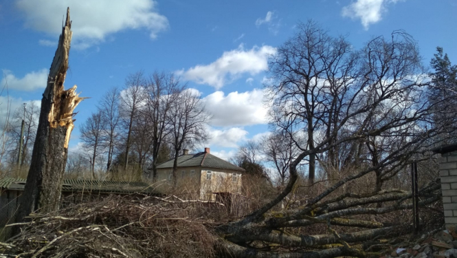 Skrīveros likvidē vētras postījumus
