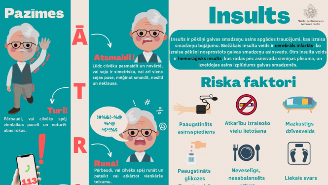 infografika inslts