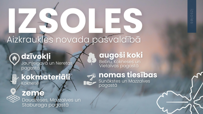 Pašvaldība izsolēs pārdod īpašumus