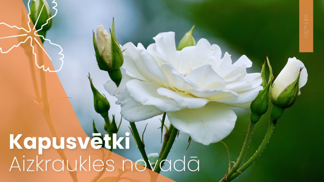 kapusvētki Aizkraukles novada kapsētās