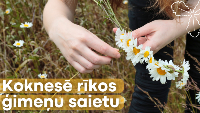 Koknesē rīkos ģimeņu saietu