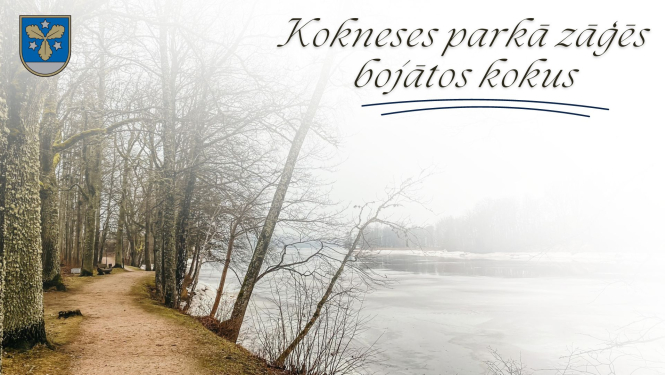 kokneses parks