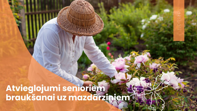 Atvieglojumi senioriem braukšanai uz mazdārziņiem