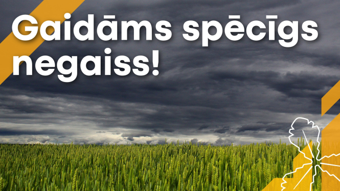 negaiss virs lauka