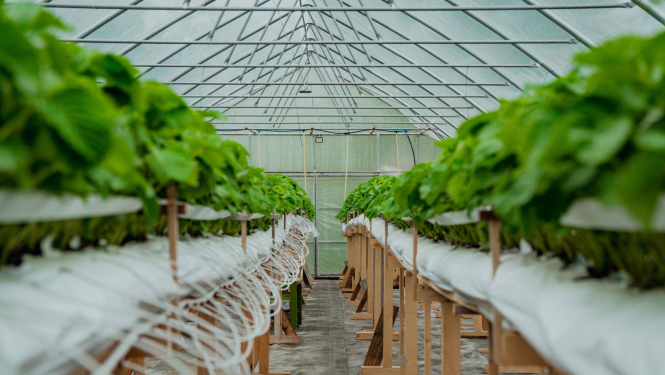 Uzraudzības vizīte pie 2024. gada konkursa uzvarētājiem