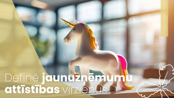 definē jaunuzņēmumu attīstības virzienus