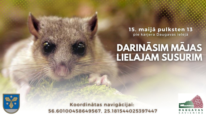 darināsim mājas lielajam susurim