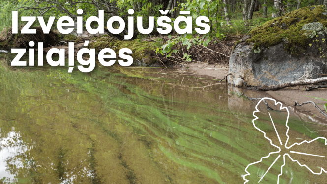 Uzmanību - zilaļģes