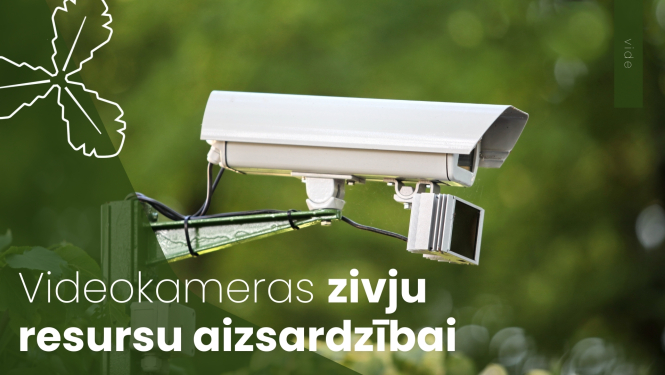 Videokameras zivju resursu aizsardzībai