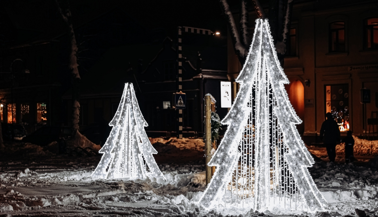 eglītes Jaunjelgavā