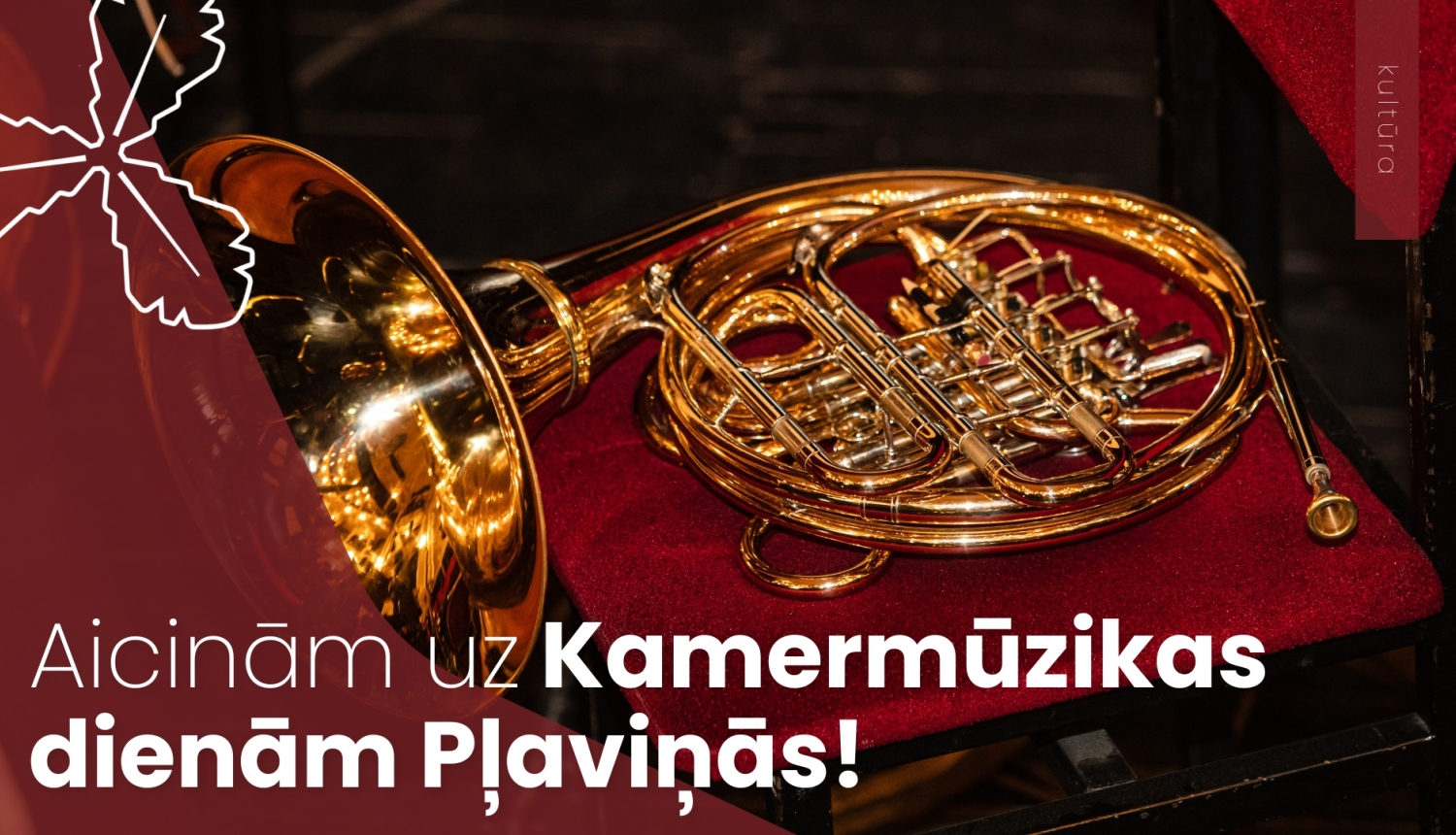 Aicinām uz Kamermūzikas dienām Pļaviņās!