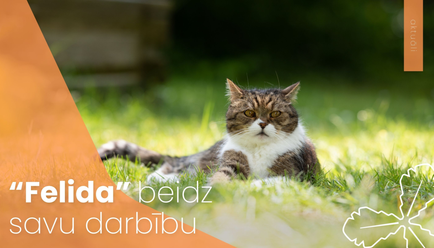 “Felida” beidz savu darbību