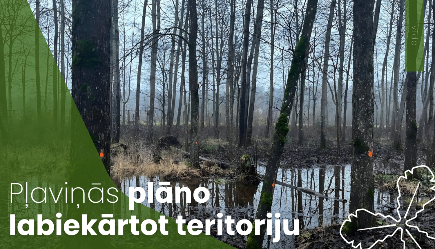 Pļaviņās plāno labiekārtot teritoriju