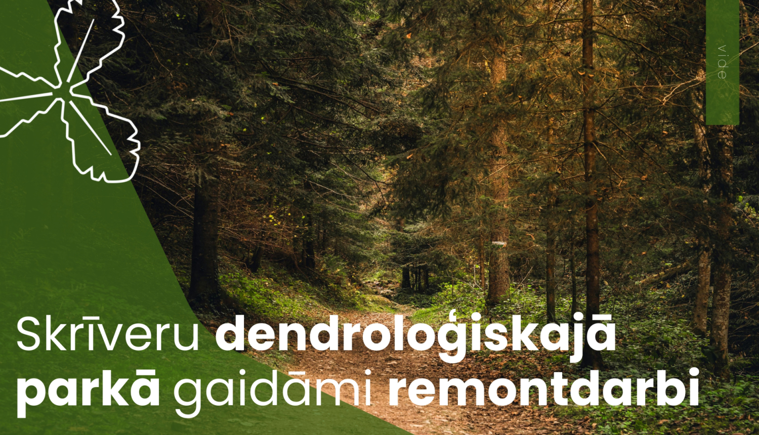 Skrīveru dendroloģiskajā parkā gaidāmi remontdarbi