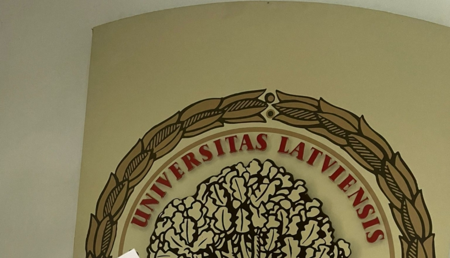 Labāko latviešu valodas zinātāju vidū – arī Bebru pamatskolas audzēkne