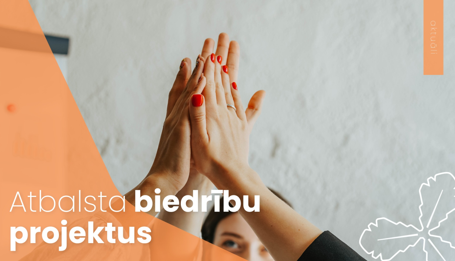 atbalsta biedrību projektus