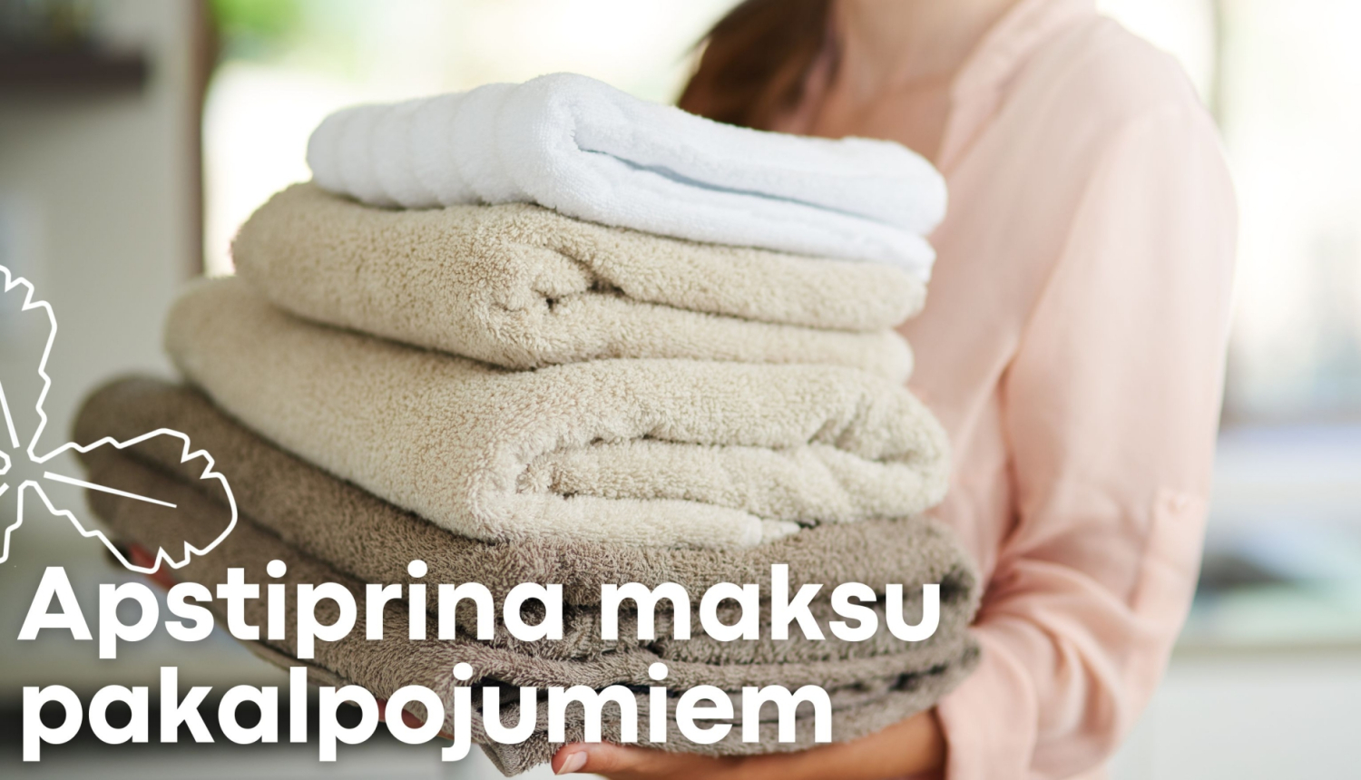 apstiprina maksu pakalpojumiem
