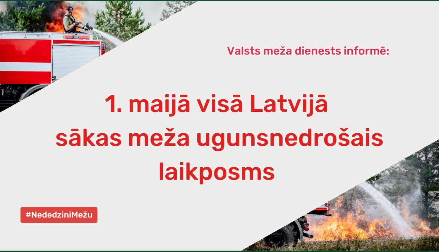 valsts meža dienests