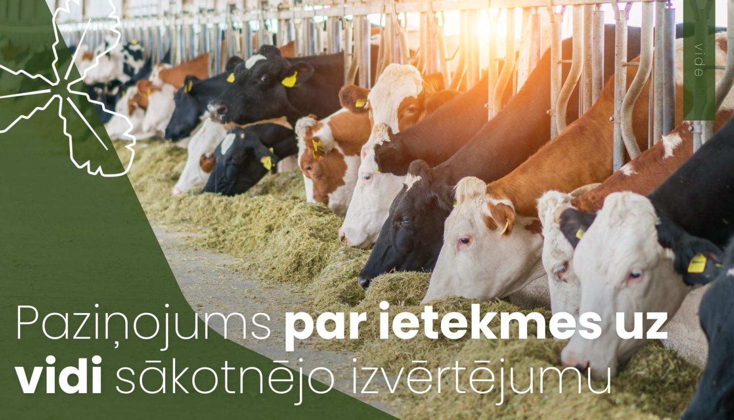 Paziņojums par ietekmes uz vidi izvērtējumu