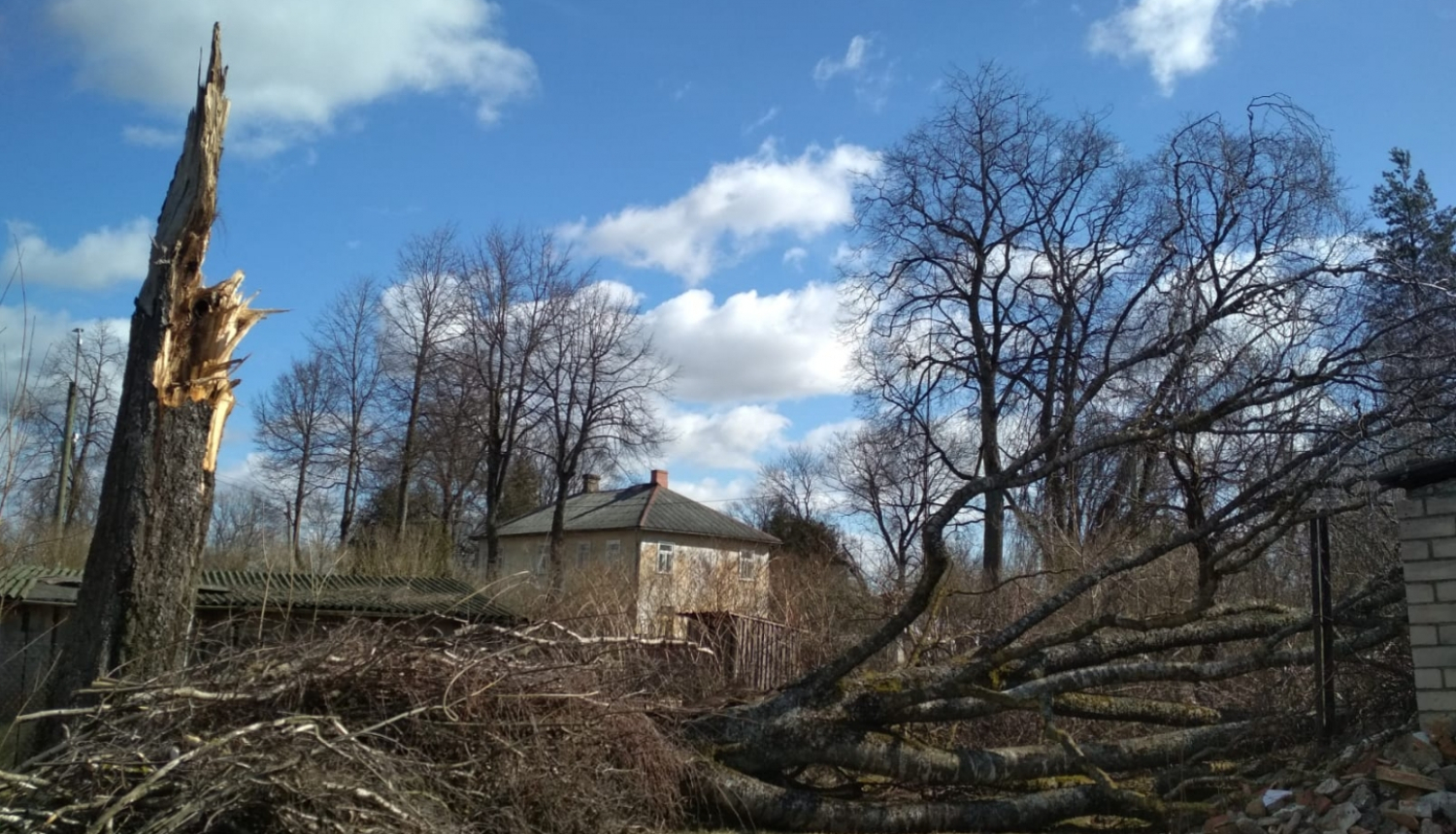 Skrīveros likvidē vētras postījumus