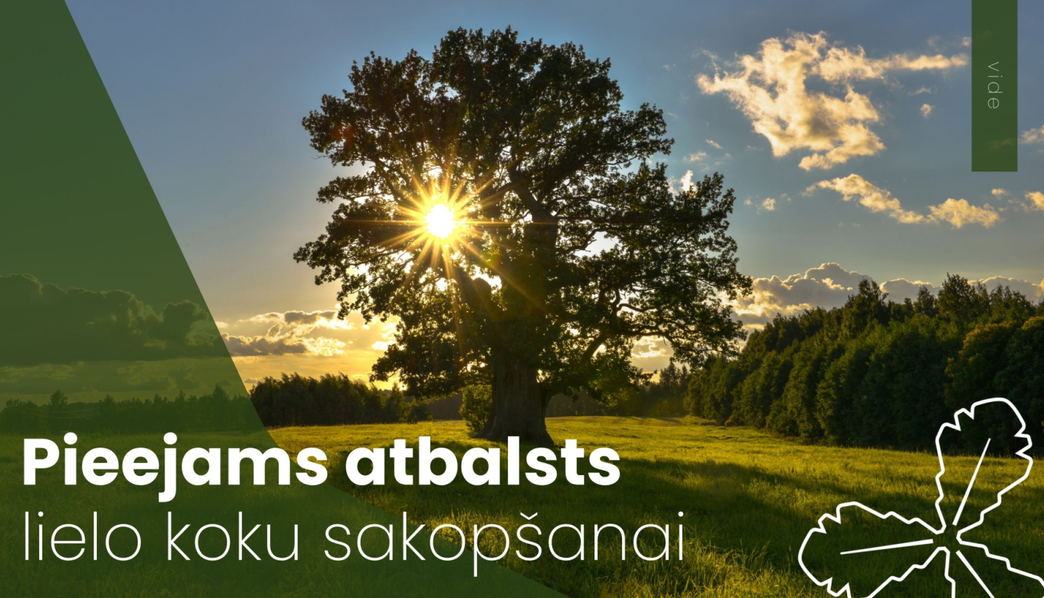 Pieejams atbalsts lielo koku sakopšanai