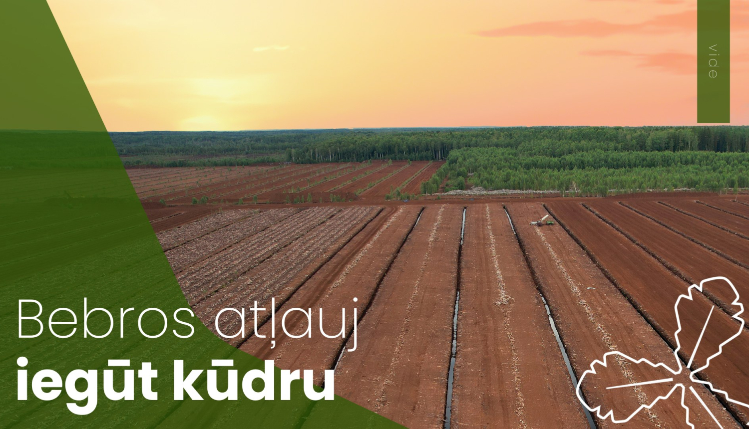 Bebros atļauj iegūt kūdru