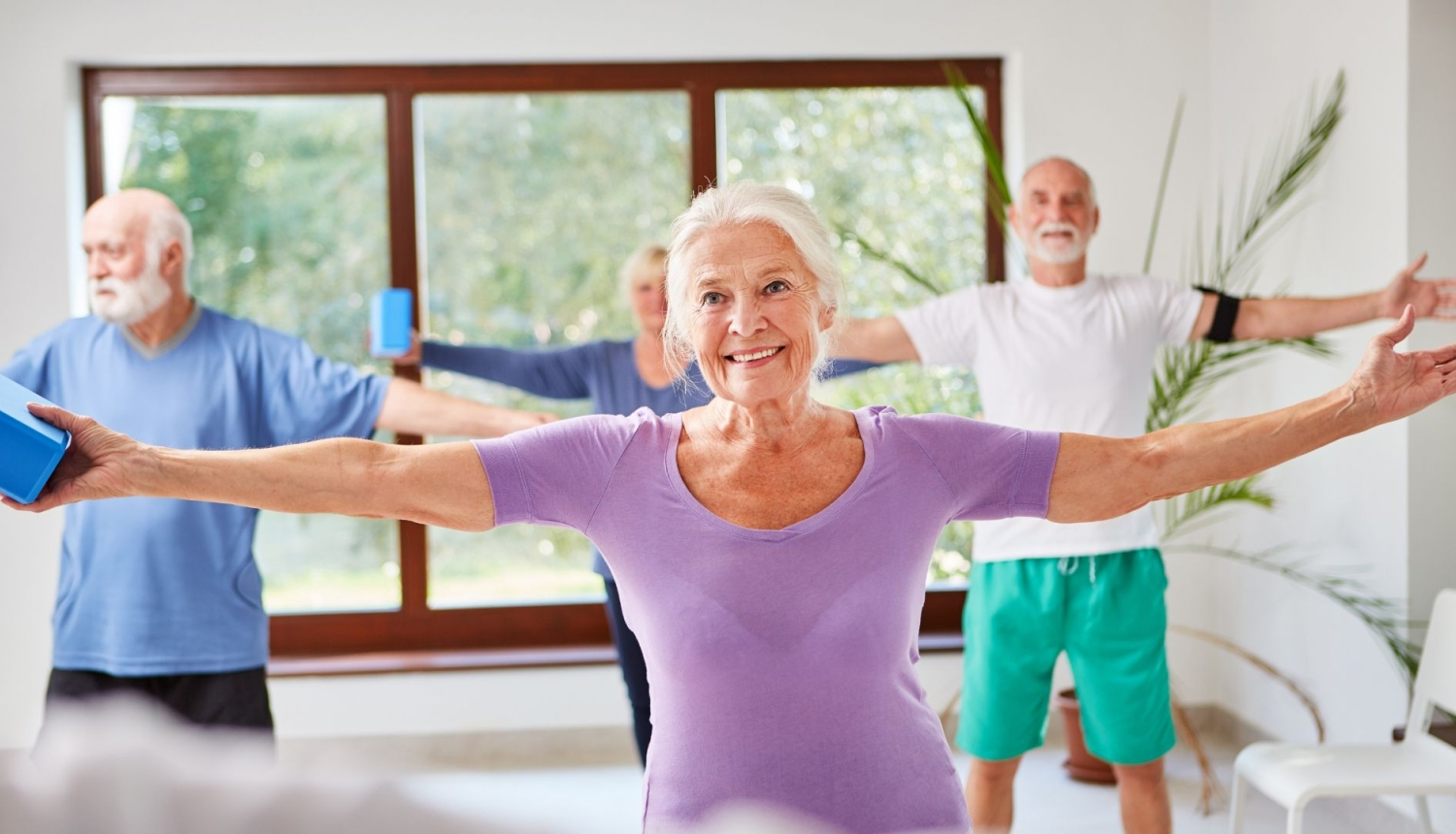 vingrošana senioriem