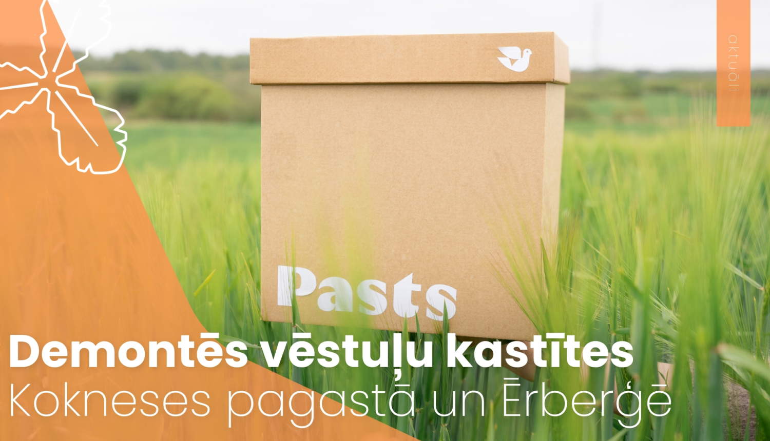 Demontēs vēstuļu kastītes Kokneses pagastā un Ērberģē