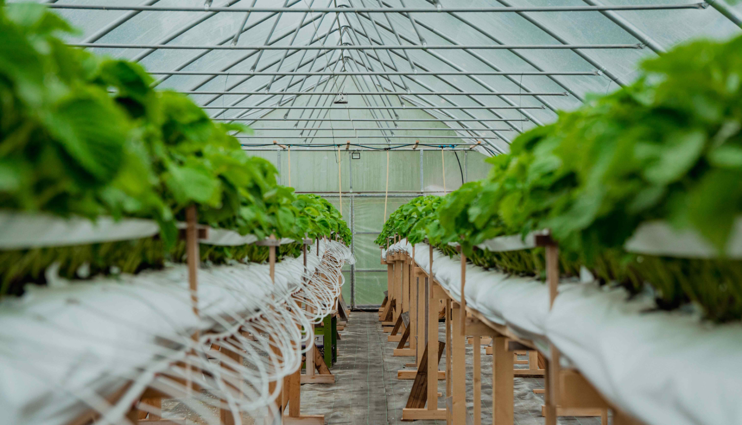 Uzraudzības vizīte pie 2024. gada konkursa uzvarētājiem