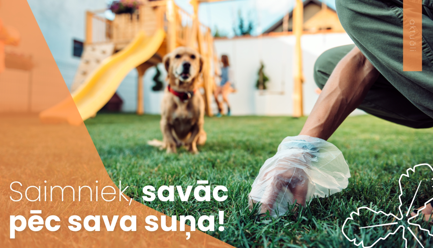 Saimniek, savās pēc sava suņa!