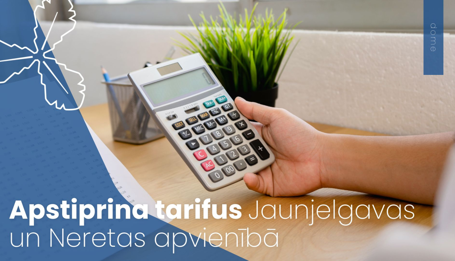 cilvēks tur rokās kalkulatoru, fonā zaļš telpaugs