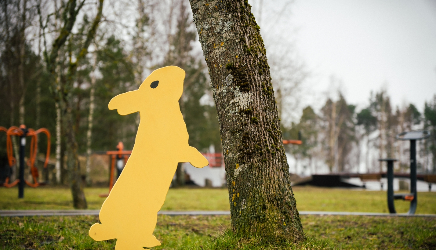 dekorācija ar zaķi