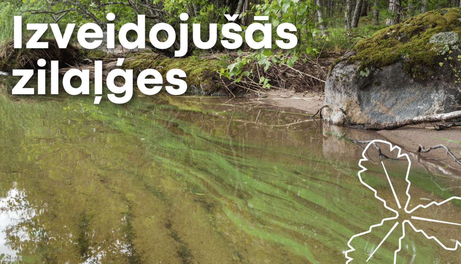 Uzmanību - zilaļģes