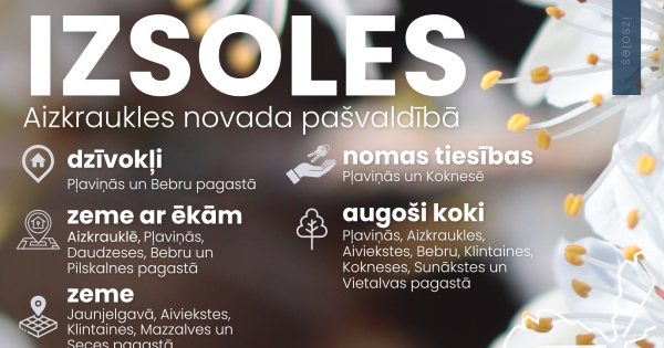 Aizkrauklē un novada pagastos izsolīs zemi, dzīvokļus un mežus