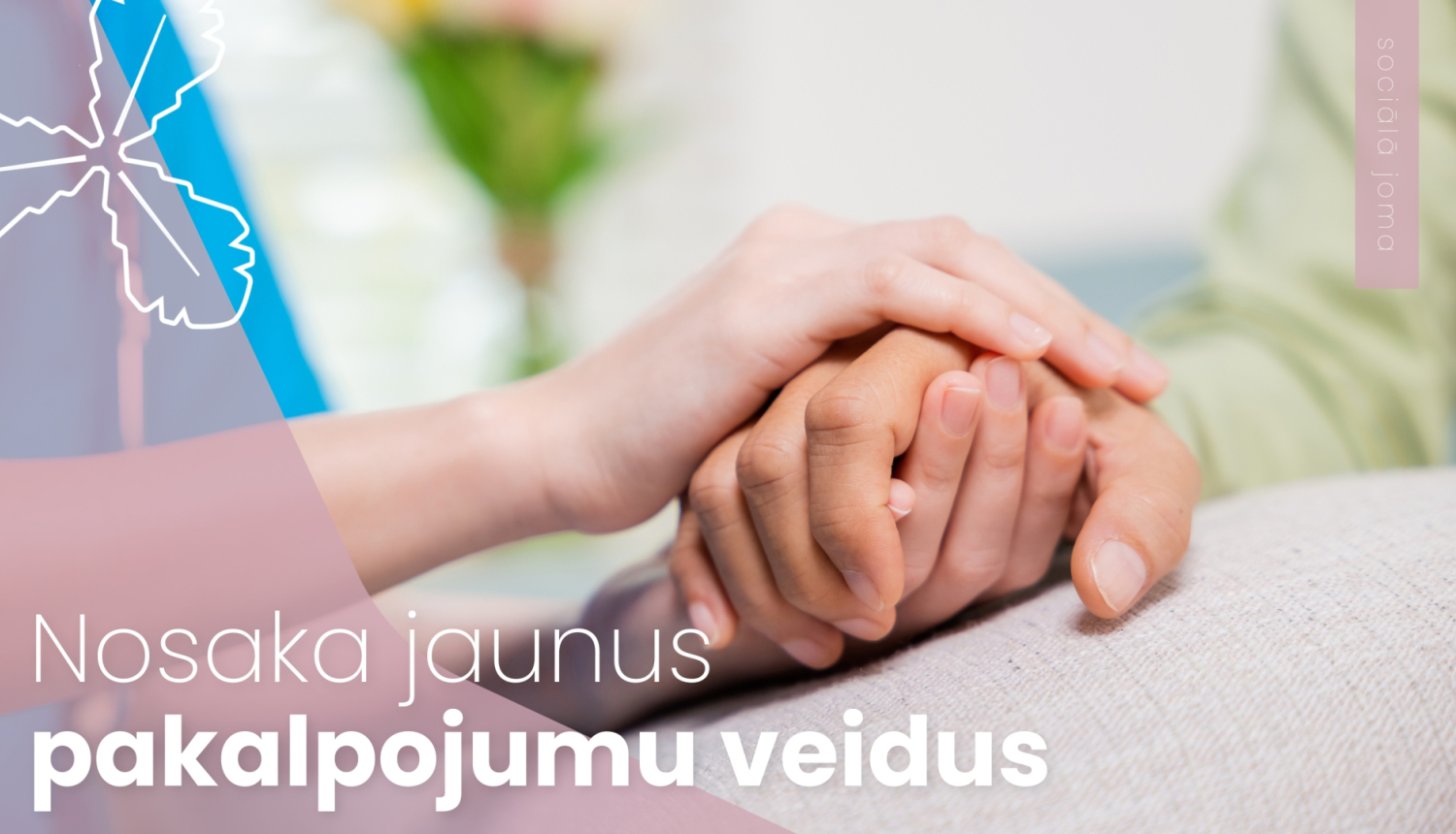 Nosaka jaunus pakalpojumu veidus