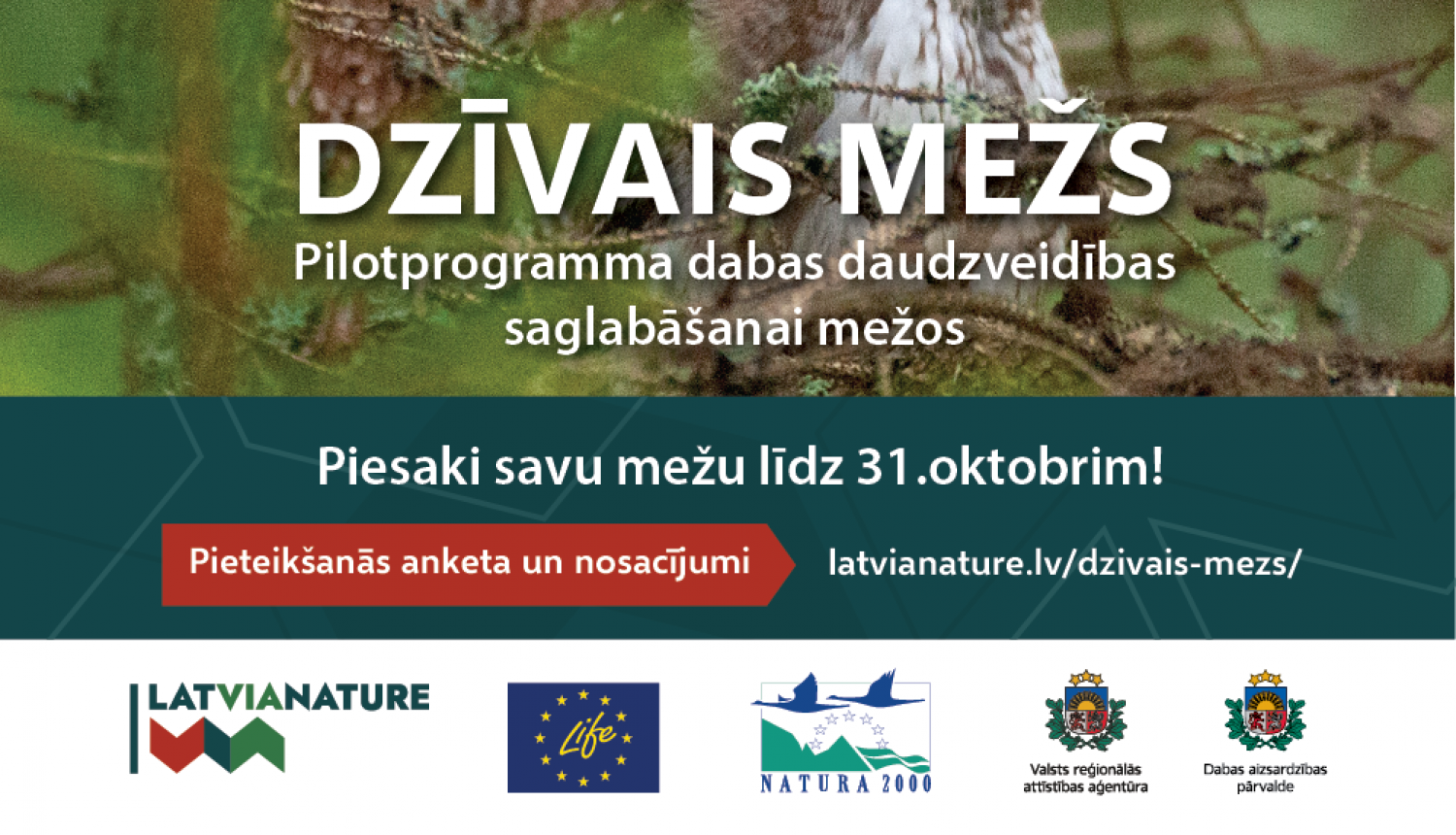 dzīvais mežs - baneris ar pūci